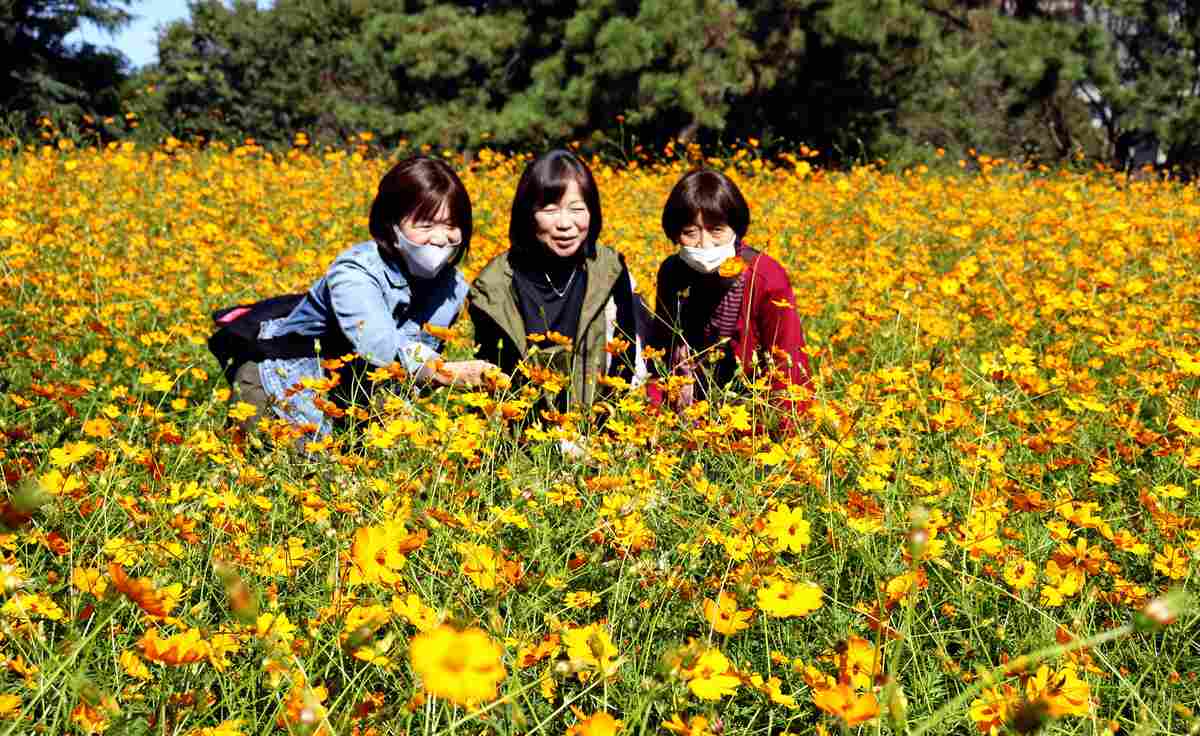 20251031G0OG0599990063