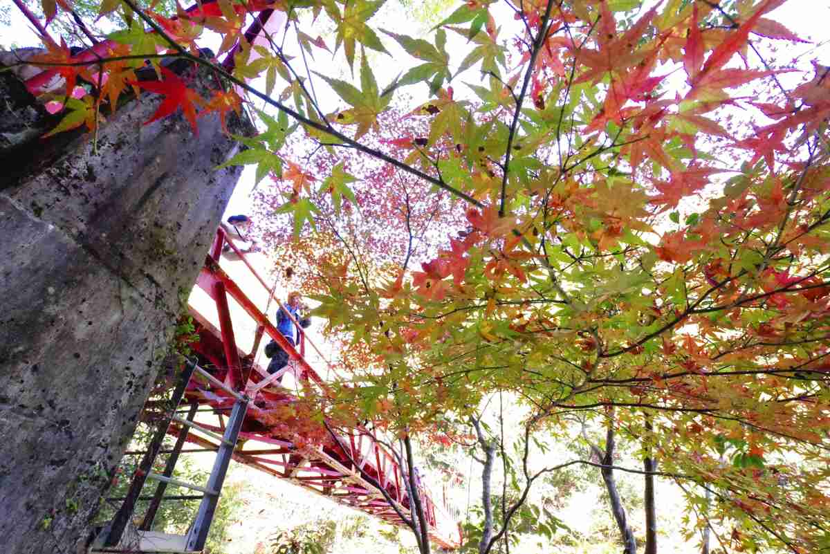 20251118G0SG0359990023