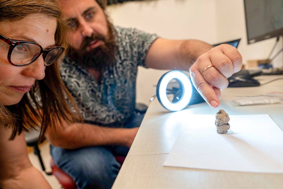 P2)Figurine of a woman and a goose
