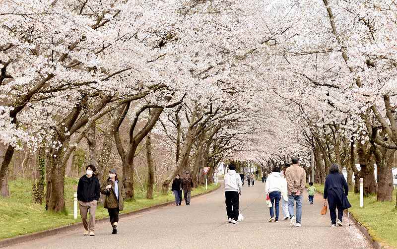 彩色やまがた　サブ_d7ebku3pcj8cdj7ngd4g